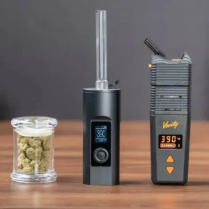 Elfworld 12000 Puffs Mint Menthol - Vape Shop Delhi